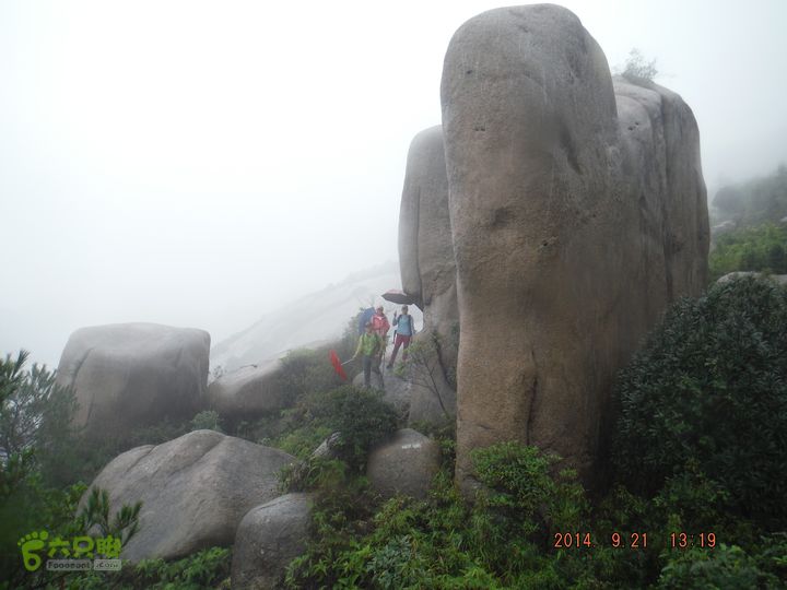 大罗山之天柱寺-茶山DSCF1365