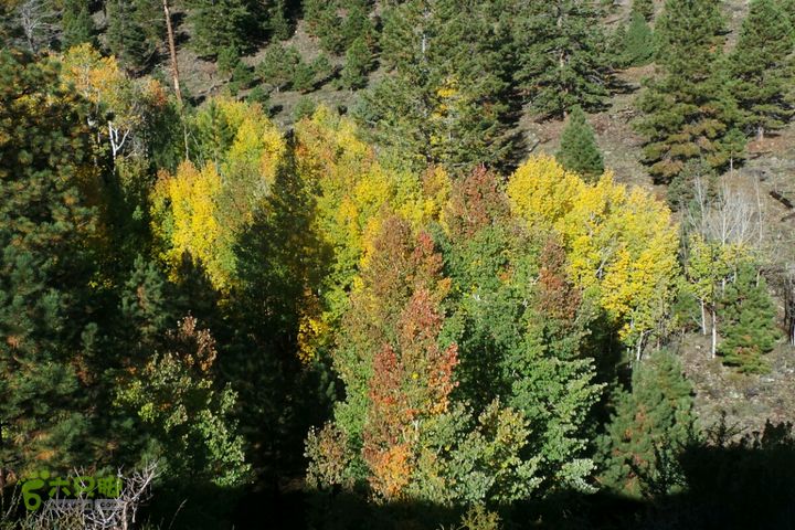 美西犹他州十二号景观公路2014-09-22 23:38:40