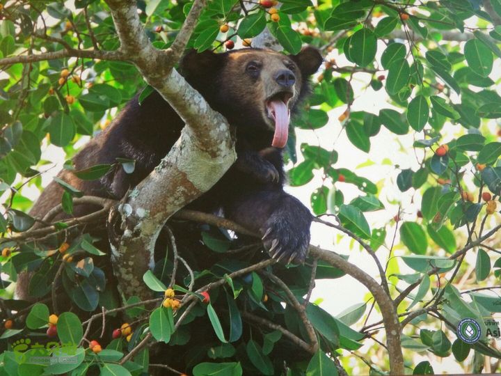 泰国考艾国家公园露营牠至素可泰2014-09-23 08:43:10