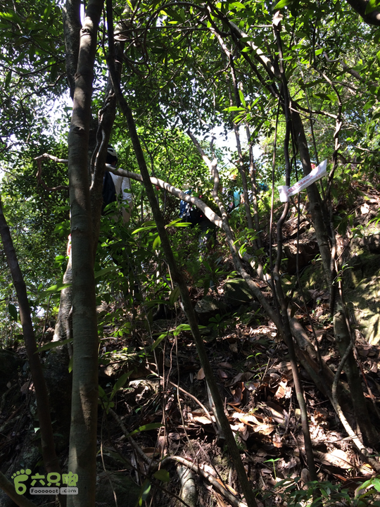 赤鲤村－金瓜石垭口－十字溪－鸟瞰瀑布－知音瀑布日行夜游记2014-09-27 14:08:33