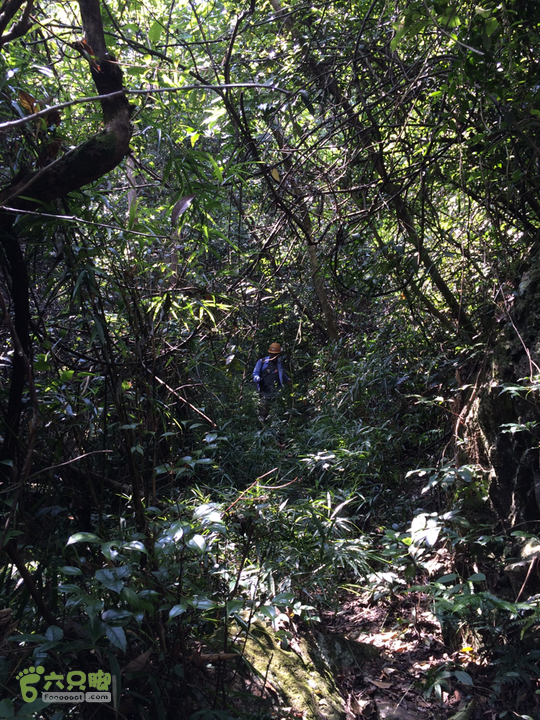 赤鲤村－金瓜石垭口－十字溪－鸟瞰瀑布－知音瀑布日行夜游记2014-09-27 12:37:18