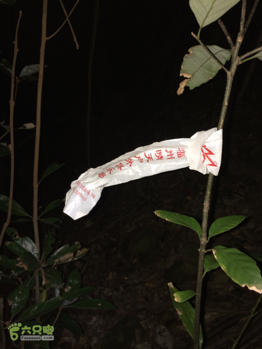 赤鲤村－金瓜石垭口－十字溪－鸟瞰瀑布－知音瀑布日行夜游记2014-09-27 19:10:07