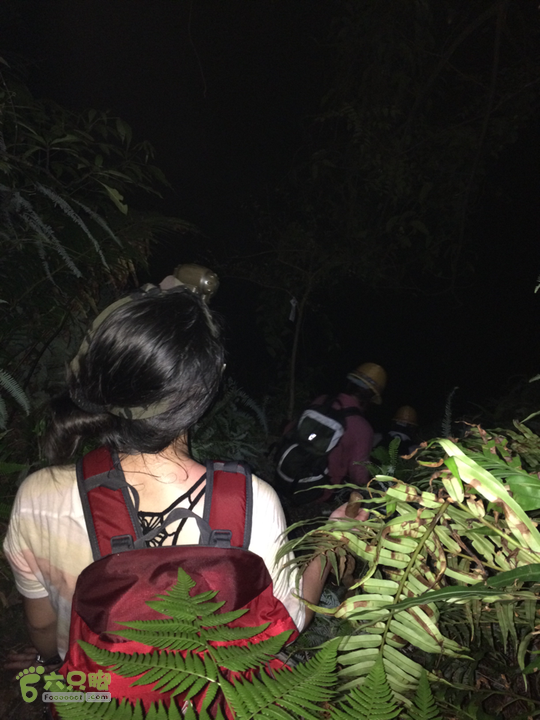 赤鲤村－金瓜石垭口－十字溪－鸟瞰瀑布－知音瀑布日行夜游记2014-09-27 20:16:27