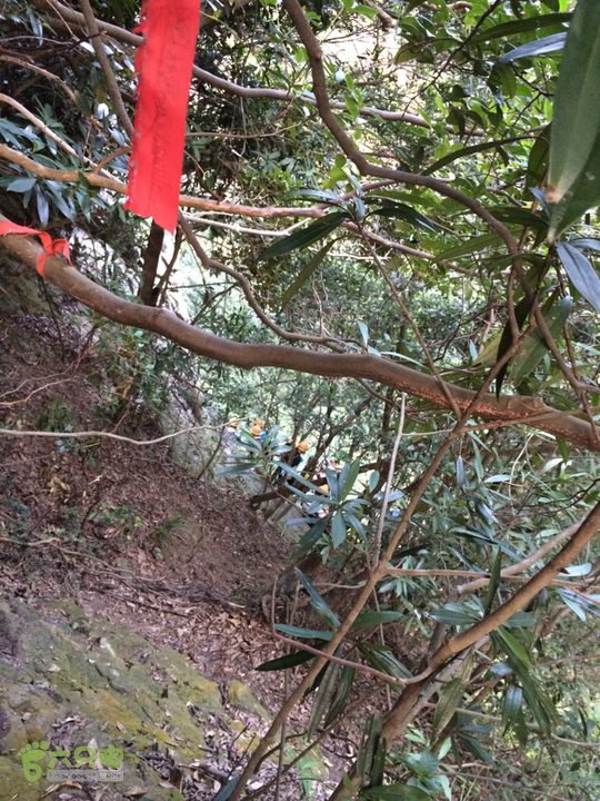 赤鲤村－金瓜石垭口－十字溪－鸟瞰瀑布－知音瀑布日行夜游记2014-09-27 17:28:18