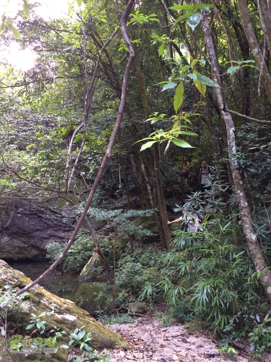 赤鲤村－金瓜石垭口－十字溪－鸟瞰瀑布－知音瀑布日行夜游记2014-09-27 16:19:39