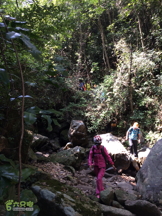 赤鲤村－金瓜石垭口－十字溪－鸟瞰瀑布－知音瀑布日行夜游记2014-09-27 12:54:13