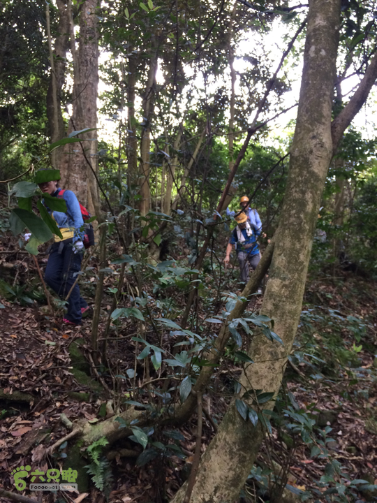 赤鲤村－金瓜石垭口－十字溪－鸟瞰瀑布－知音瀑布日行夜游记2014-09-27 12:13:08