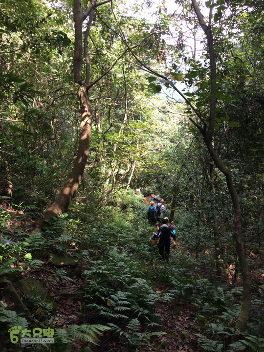 赤鲤村－金瓜石垭口－十字溪－鸟瞰瀑布－知音瀑布日行夜游记2014-09-27 12:15:36