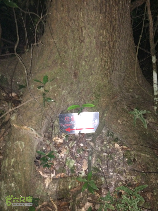 赤鲤村－金瓜石垭口－十字溪－鸟瞰瀑布－知音瀑布日行夜游记2014-09-27 19:05:34