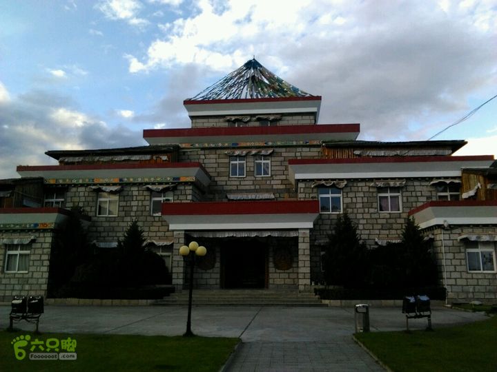 林芝一日步行奇正藏药公司