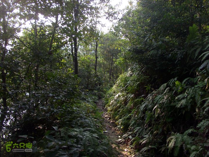 独走飞龙山SI852929