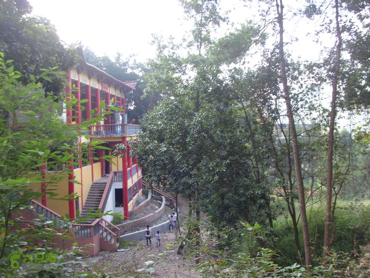 独走飞龙山SI852931