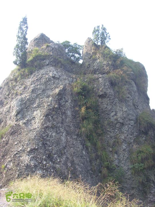 独走飞龙山SI852939