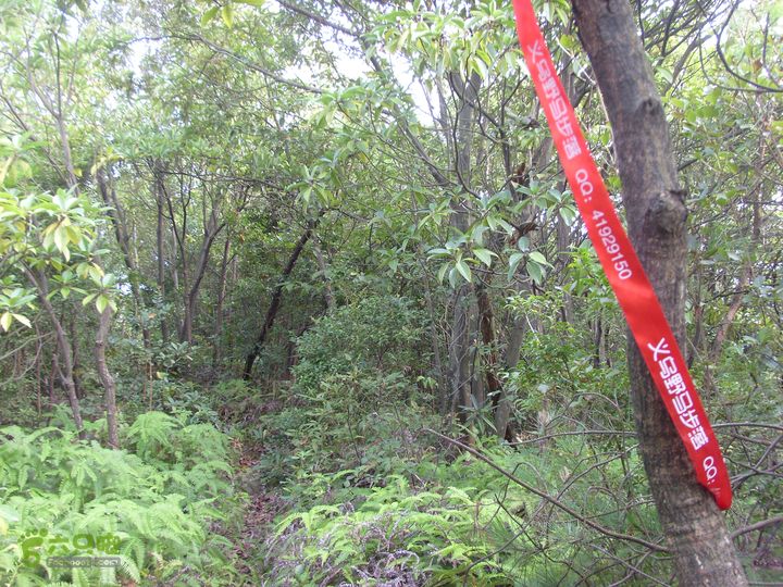 独走飞龙山SI852961