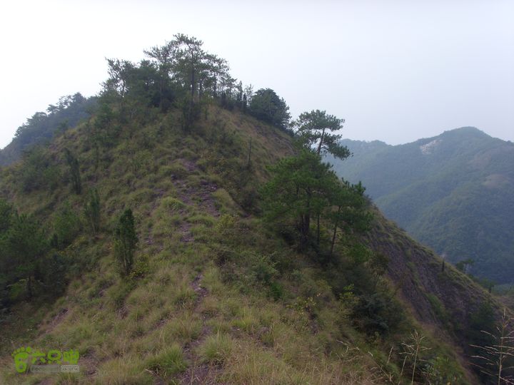 独走飞龙山SI852978