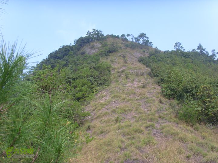 独走飞龙山SI852980