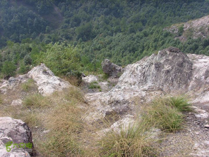 独走飞龙山SI852998