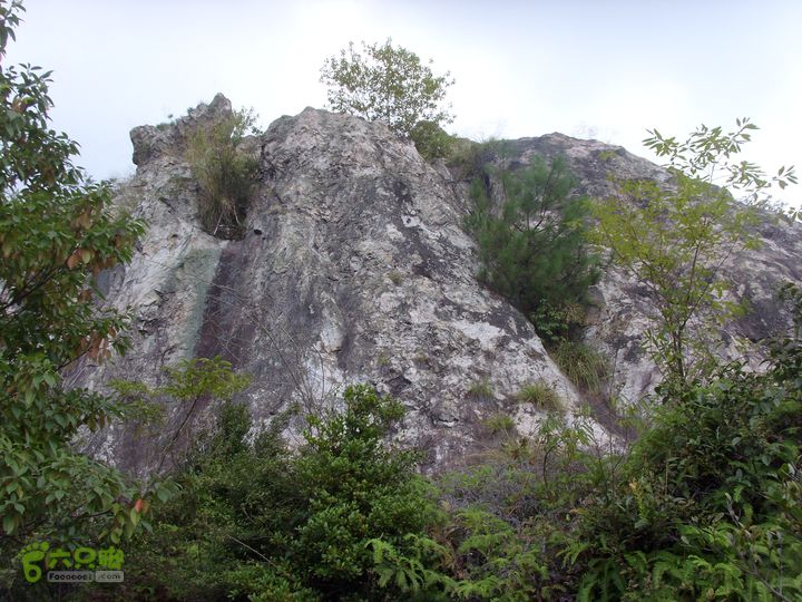 独走飞龙山SI853000