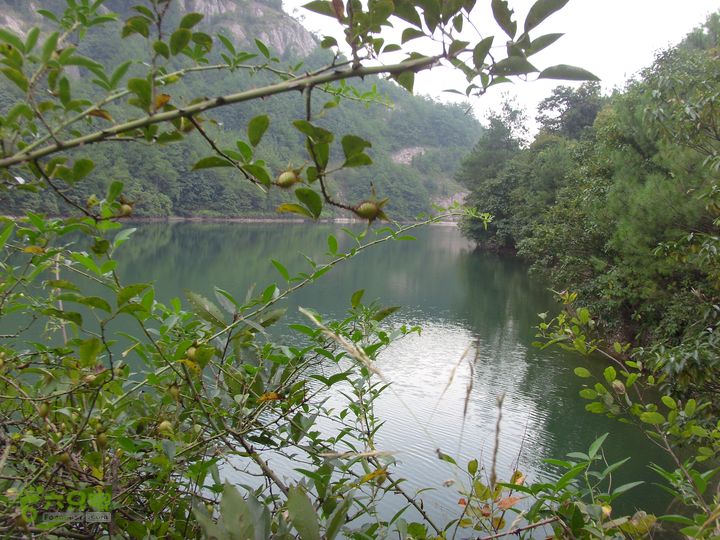 独走飞龙山SI853007