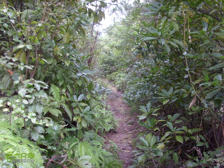 独走飞龙山SI853011