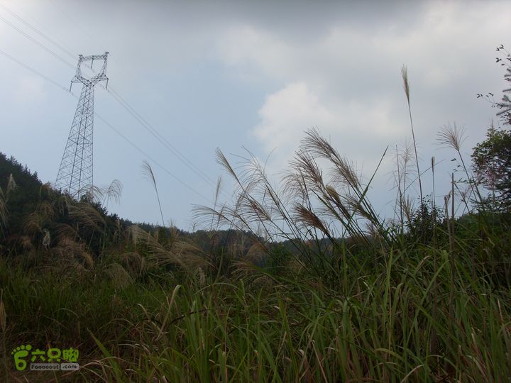 独走飞龙山SI853014