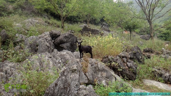 东山-瓮里-梅子嵅古寨-敢兴-20141002DSC02404