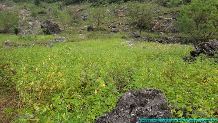 东山-瓮里-梅子嵅古寨-敢兴-20141002DSC02405