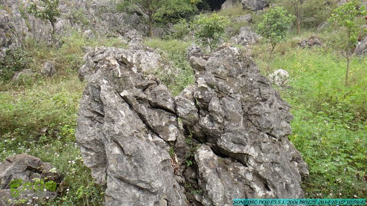 东山-瓮里-梅子嵅古寨-敢兴-20141002DSC02408