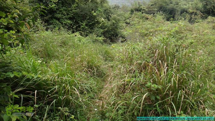东山-瓮里-梅子嵅古寨-敢兴-20141002DSC02416