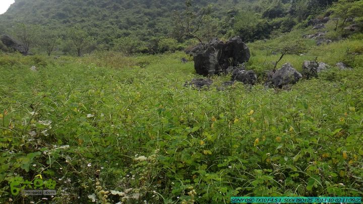 东山-瓮里-梅子嵅古寨-敢兴-20141002DSC02426