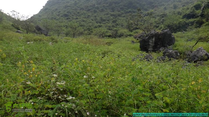 东山-瓮里-梅子嵅古寨-敢兴-20141002DSC02427