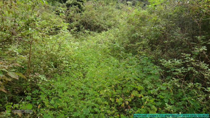 东山-瓮里-梅子嵅古寨-敢兴-20141002DSC02431