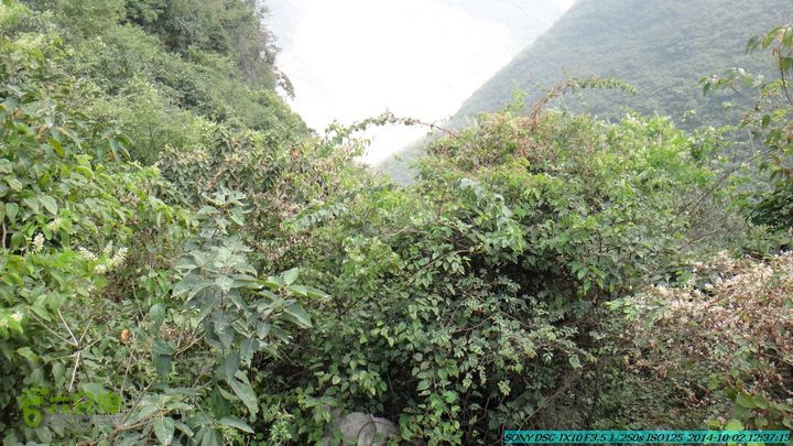 东山-瓮里-梅子嵅古寨-敢兴-20141002DSC02453