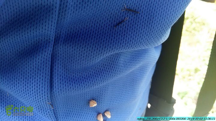 东山-瓮里-梅子嵅古寨-敢兴-20141002IMG_20141002_113610