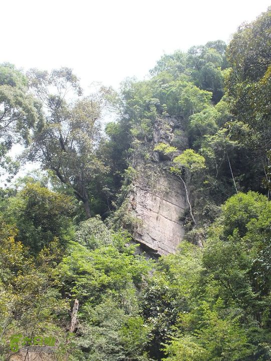 三明尤溪汤川大峡谷2014_0706_134052