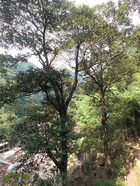 三明尤溪汤川大峡谷2014_0706_144030