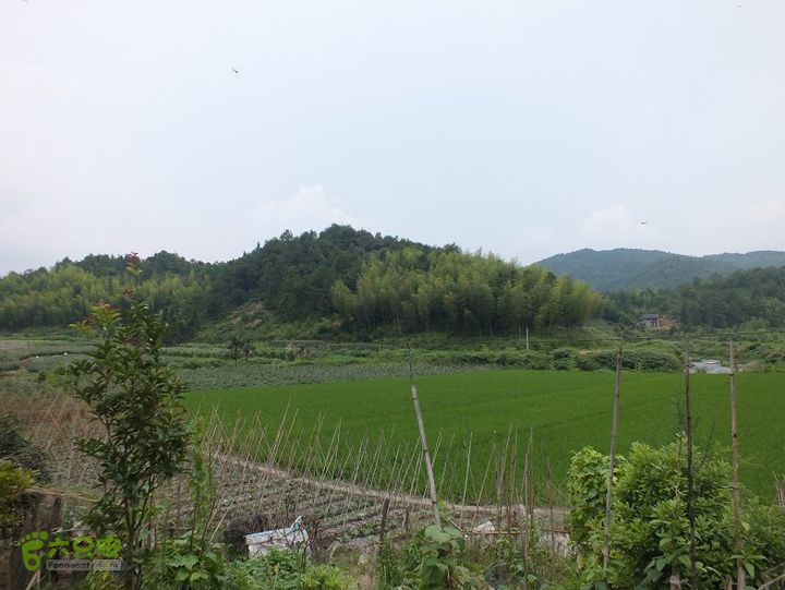 三明尤溪汤川大峡谷2014_0706_154057