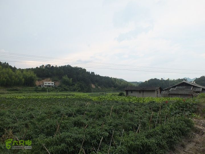 三明尤溪汤川大峡谷2014_0706_154851