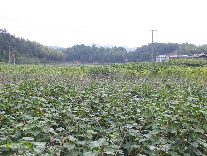 三明尤溪汤川大峡谷2014_0706_155044