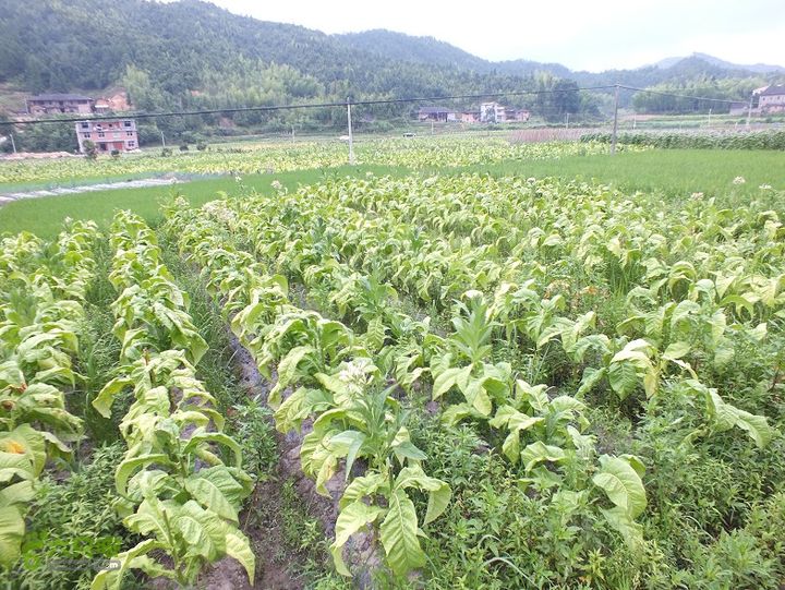 三明尤溪汤川大峡谷2014_0706_160051