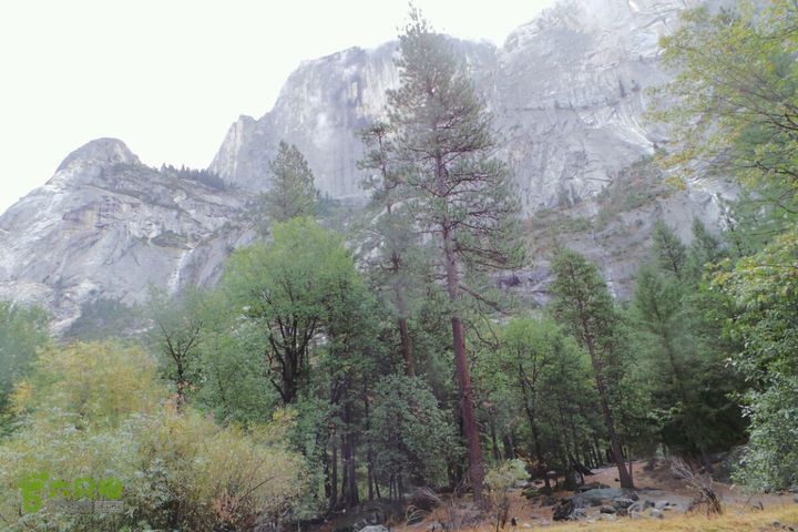 房车之旅：优胜美地山谷一日游2014-09-29 01:50:50