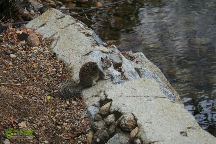 房车之旅：优胜美地山谷一日游2014-09-29 03:35:26