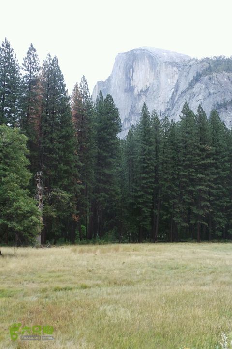 房车之旅：优胜美地山谷一日游2014-09-29 05:08:22