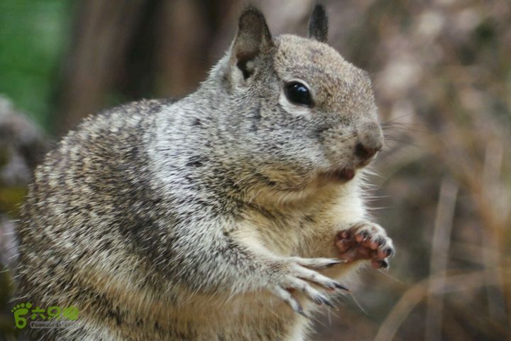 房车之旅：优胜美地山谷一日游2014-09-29 05:36:27