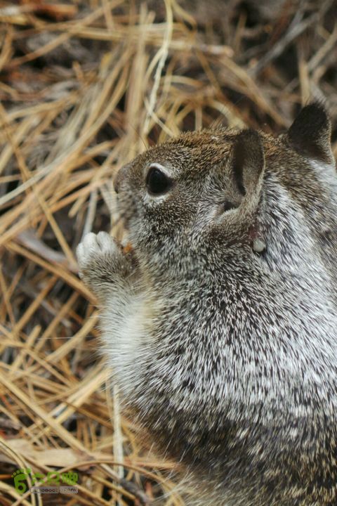 房车之旅：优胜美地山谷一日游2014-09-29 05:37:12