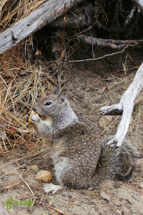 房车之旅：优胜美地山谷一日游2014-09-29 05:37:30