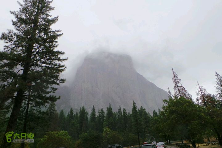 房车之旅：优胜美地山谷一日游2014-09-29 07:28:16