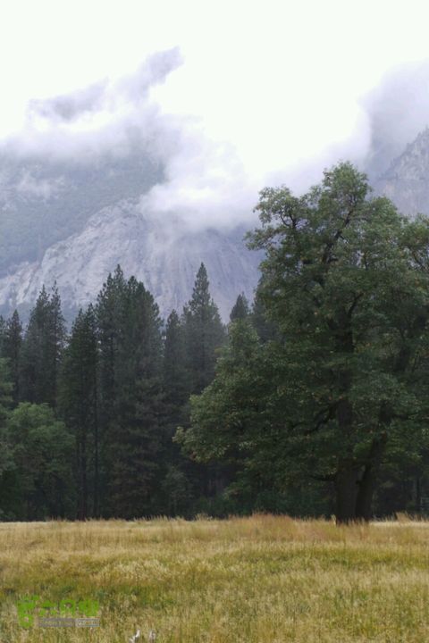 房车之旅：优胜美地山谷一日游2014-09-29 07:28:41