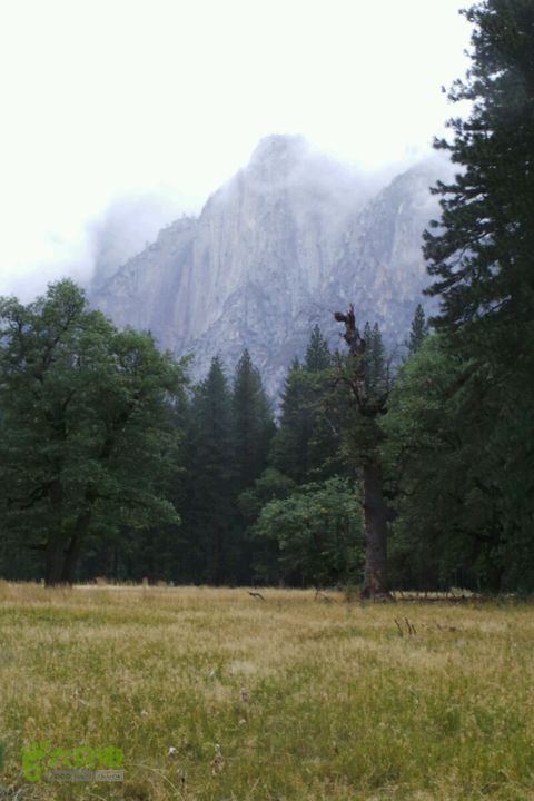 房车之旅：优胜美地山谷一日游2014-09-29 07:28:51