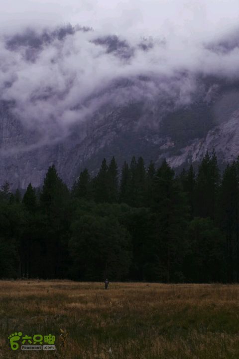 房车之旅：优胜美地山谷一日游2014-09-29 07:29:06